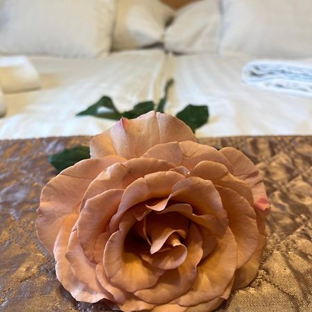 Hotel Rose City Budapest Eksteriør bilde