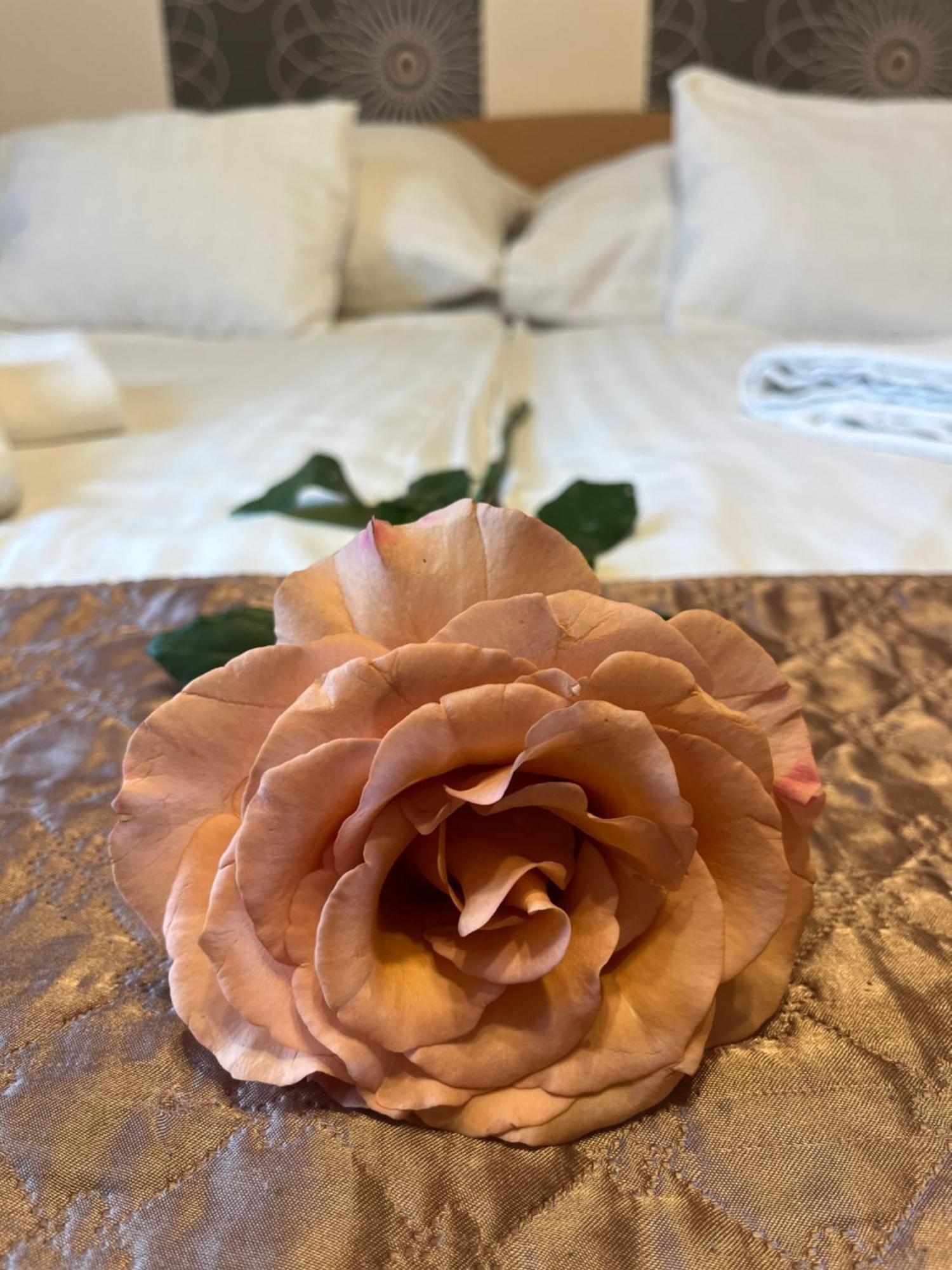 Hotel Rose City Budapest Eksteriør bilde